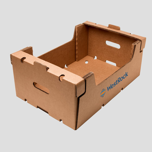 Embalagem Brightbox™ para Frutas e Vegetais