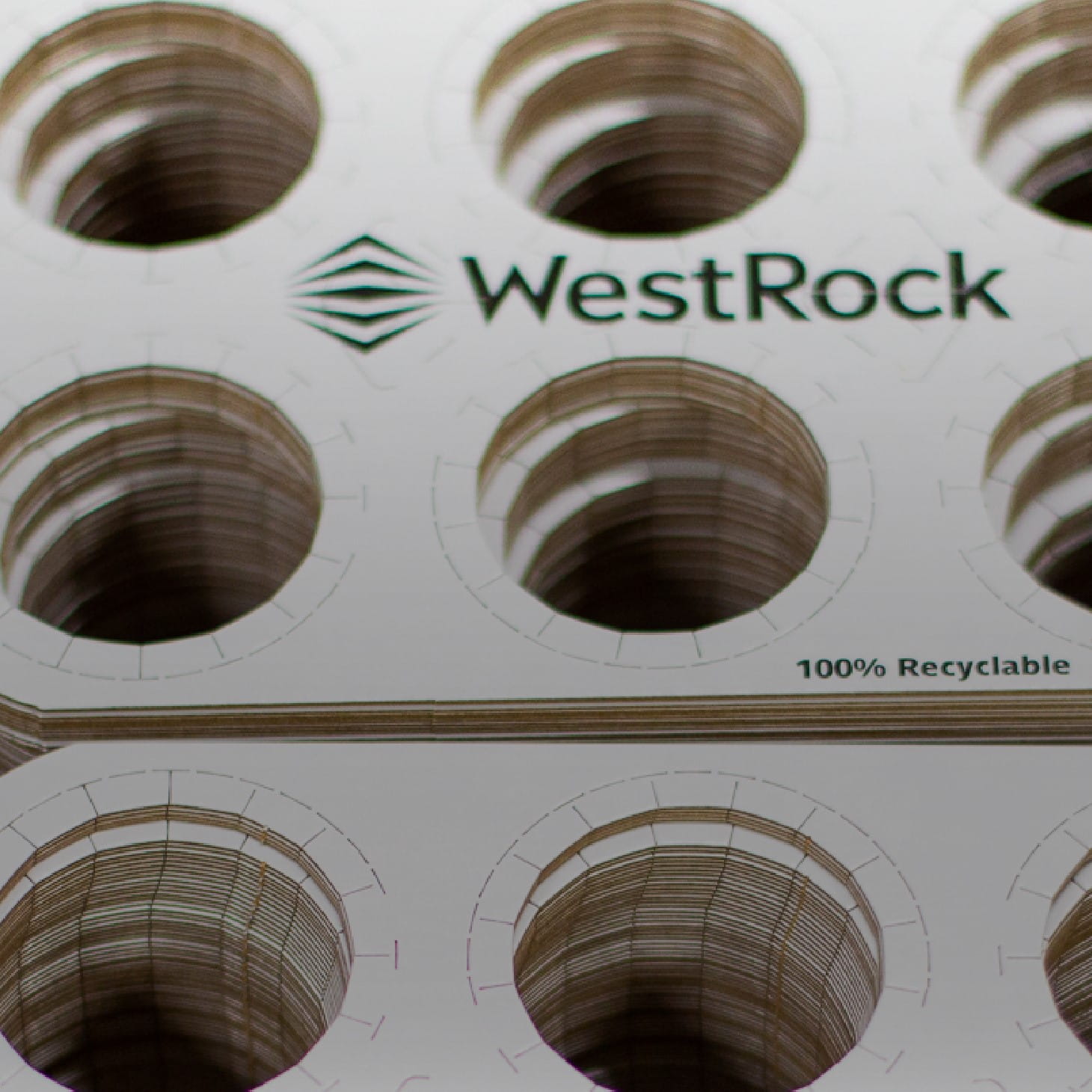WestRock promover embalagens sustentáveis