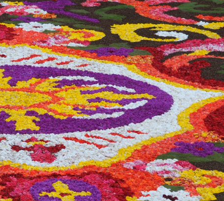 Una alfombra de flores