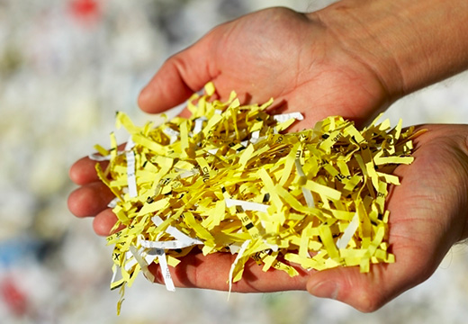 Shredded paper ready for fiber recycling