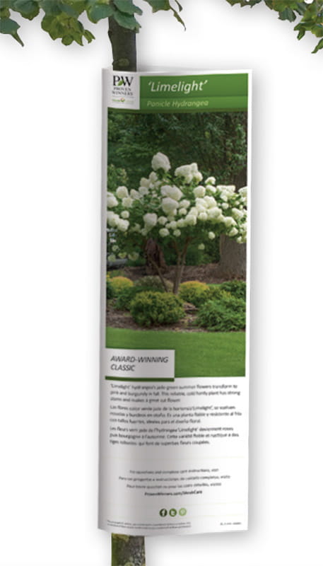 WestRock offers tree wrap solutions for horticulture for merchandising at retail