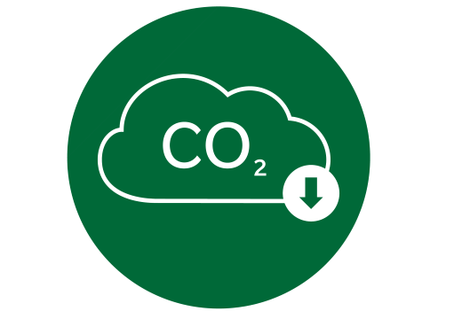 emissão de carbono